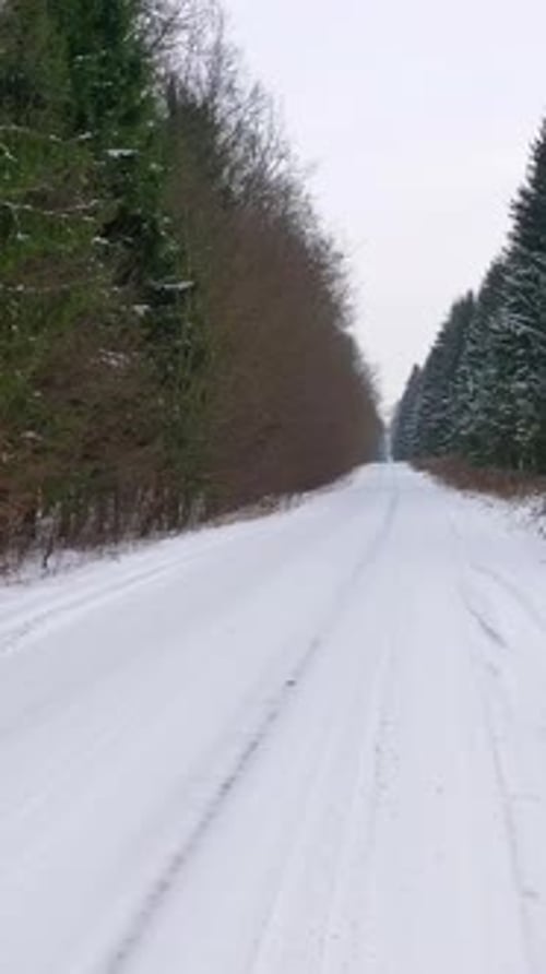 Straight road covered with snow in the forest. Nature scenery along long road in winter season.