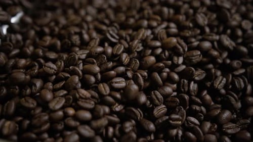Roasted Coffee Beans Being Mixed for the Perfect Roast
