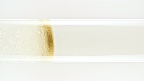 Makroaufnahme feiner Luftblasen, die im Wasser im Reagenzglas auf schwarzem Hintergrund aufsteigen, sprudelnd