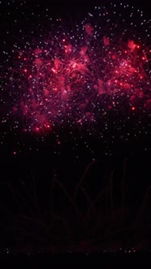 Spectacular Fireworks Festival Lighting Up the Night Sky with Vibrant Colors and Crowd Excitement