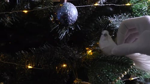 Decorating Christmas Tree With Bird Ornament And Lights