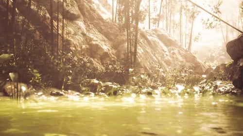 Sunlit Forest River Landscape Background Loop