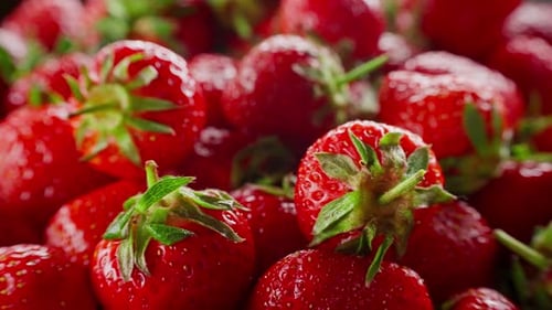 Strawberries Summer Harvest