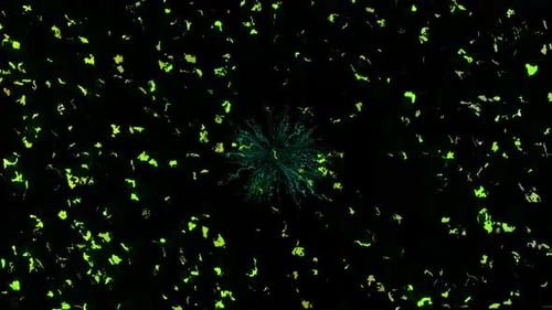 Flash Particles And Lines