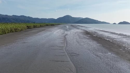 Scenic Aerial View of Tropical Beach and Lush Forest