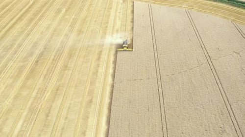 Combine Harvester Working in Vast Wheat Field