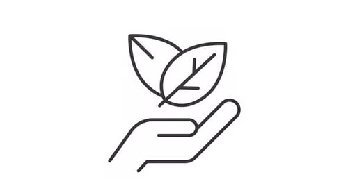 Minimalist Line Art Hand Holding Leaves Eco Icon Animation