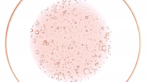 Gel líquido cosmético rosa transparente con burbujas de moléculas, aceite que se extiende en una placa de Petri Macro Shot