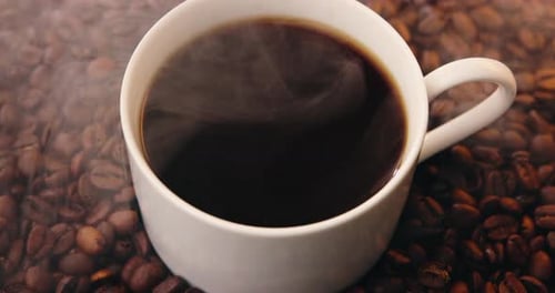 Beans, steam and hot cup of coffee, morning caffeine fix and fresh warm beverage to reduce fatigue