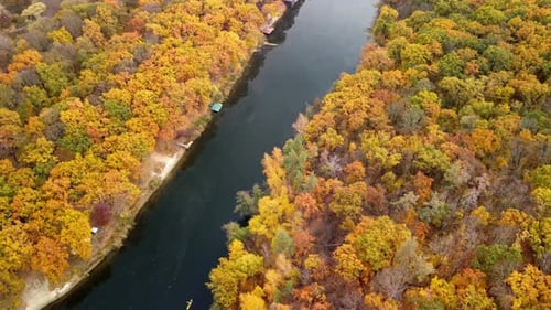Autumn aerial look down on river with vivid forest