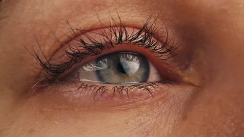 Human Eye Man or Woman Eye Macro Detailed Closeup Macro a Human Blue Eye Showcases Its Intricate