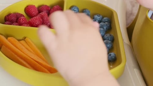 Child Selecting Blueberries from a Plate of Healthy Food