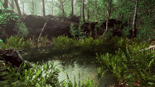 Forest Spring Landscape with Overgrown Pond