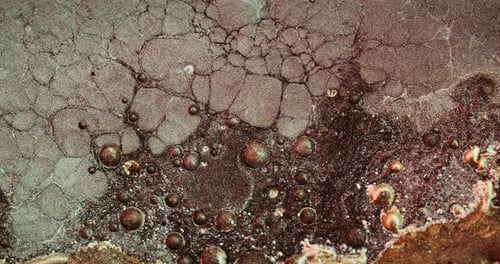 Glitter Bubbles Shiny Fluid Texture Brown Sparkles