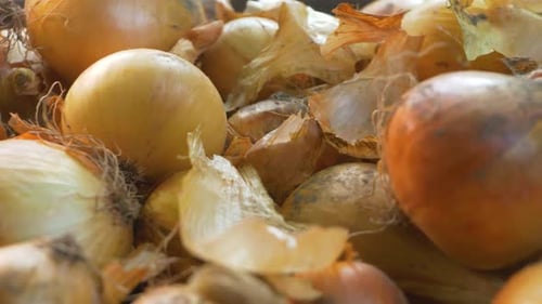 Close Up of Yellow Onions in a Pile
