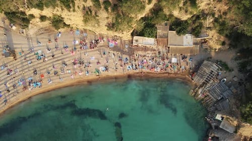 Aerial View of Beach, Ocean, and People Relaxing