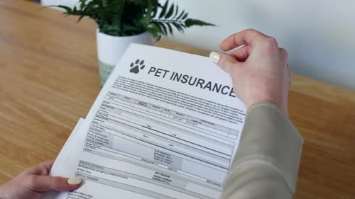 Pet insurance policy document paper. A woman is opening a letter with her animal insurance details.