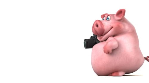 Fun pig - 3D Animation