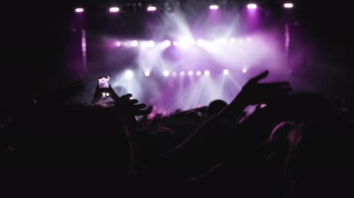 Energetic Crowd Enjoying Live Music Concert at Night