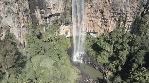 Towering waterfall flows through vibrant tropical plants, creating mist and a radiant rainbow. The l