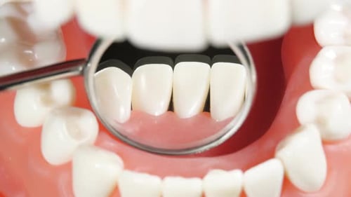 Patient at a Dentist Appointment in a Dental Clinic. View from Inside the Dental Jaw. Tooth Model