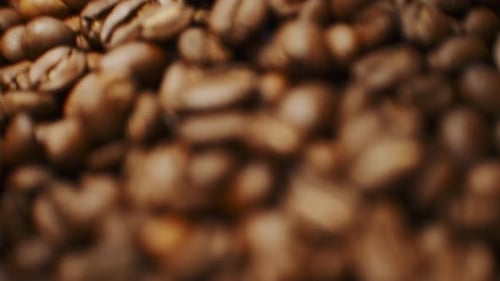 Close Up of Delicious Roasted Coffee Beans