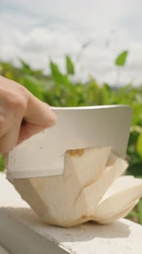 Vidéo verticale. Coquille de noix de coco tranchée à la main à l'aide d'un couperet argenté sur fond de ciel radieux et luxuriant