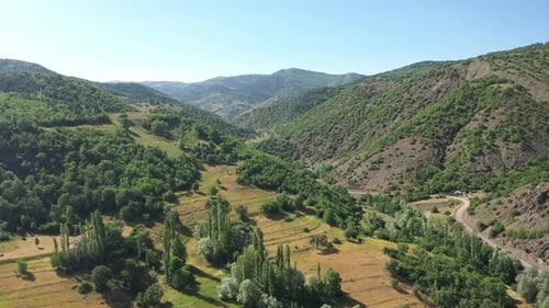 Vue aérienne des collines verdoyantes et de la route de montagne