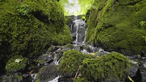 Wasser fällt in Zeitlupe durch einen moosbewachsenen Bach in einem wunderschönen grünen Wald