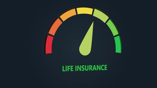 Corporate Life Insurance Risk Meter Animation