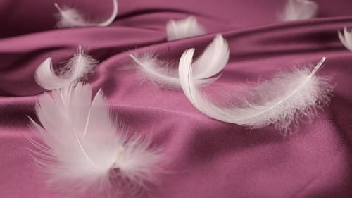 Delicate Feathers on Silky Purple Fabric