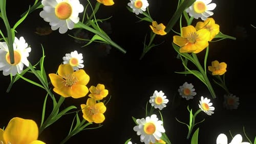 Túnel de flores 4k