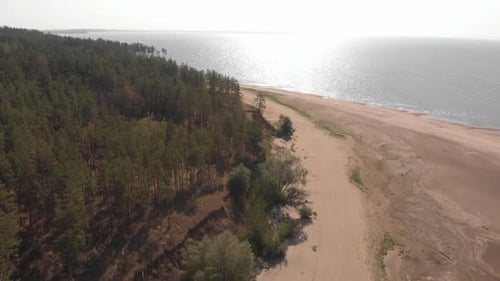 Summer Seashore