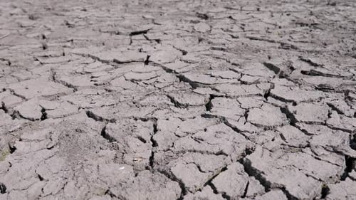 El suelo agrietado y seco se extiende en todas direcciones