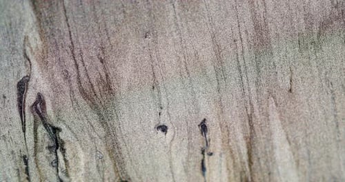 Extreme Close Up Footage of Grained Sand