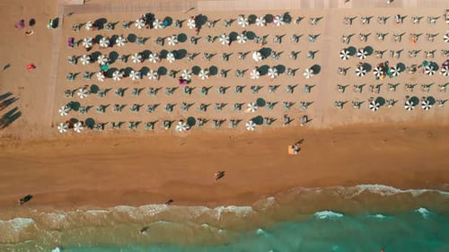 People Relax on Sand Beach with Umbrellas and Sun Lounges