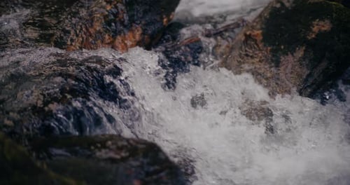 Fresh Waterfall Nestled in Heart Mountains