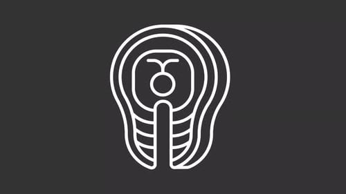 Animated Flat Design Salmon Steak Icon