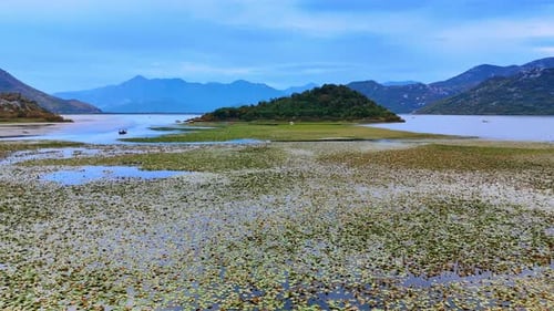 Vast waterscape covered with lotuses. Approaching the boats standing on the anchor
