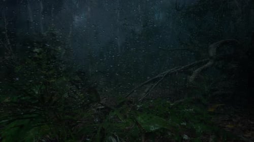 Regen auf Glas im Regenwald 1