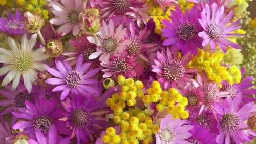 Close Up View of Floral Arrangement