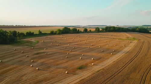 Golden Harvested Field with Hay Bales Aerial View
