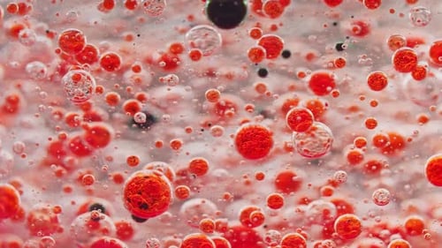 Makroaufnahme roter Blasen im Wasser mit einer großen schwarzen Blase, die langsam zu Boden fällt