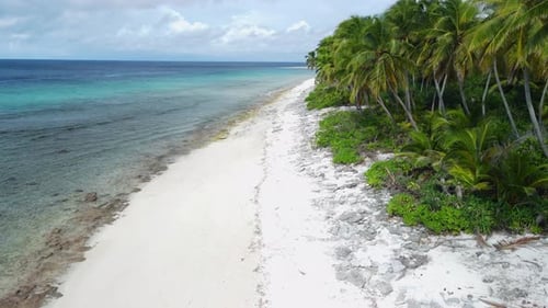 Maldives Island Tropical Coastline Beach with Palms Trees and Ocean Drone View