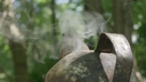 Smoke rising from active beekeeping smoker