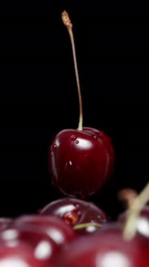 Vertical video. A cherry rotates above a handful of cherries on a black background.