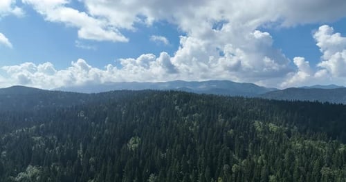 Aerial View of Green Forest Under Blue Sky