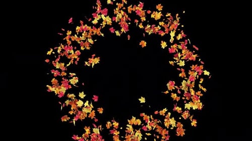 Fluid Autumn Leaves Swirl and Fall Transition Overlay