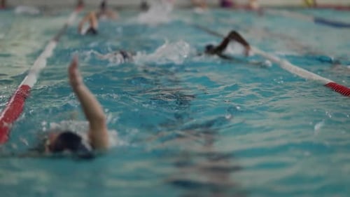 Athletes Training for a Swimming Competition in the Pool