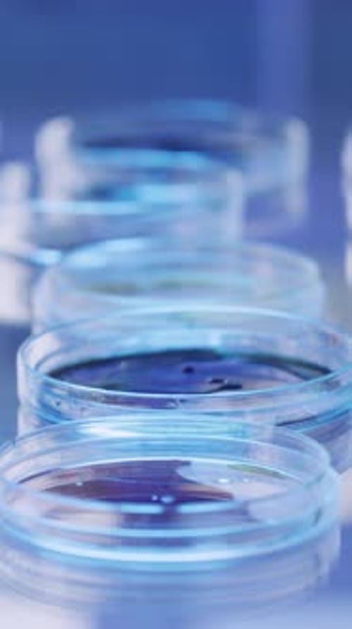 Medical, glass or hands in lab with petri dish, biotechnology or bacteria test for vaccine